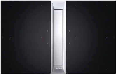 BORA Professional 3.0 — ensemble induction — PKAS3FI