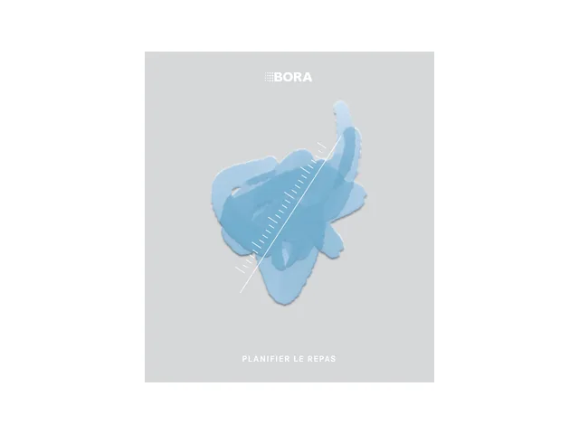 BORA français — WBKBEPFR